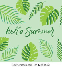 hello summer lettering and illustration