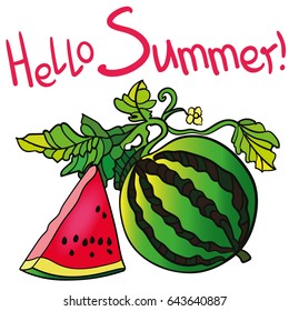 Hello Summer Lettering and watermelon. Inscription. Vector illustration on white background. Trend calligraphy.  Happy youth gift.