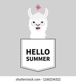 Hello summer. Llama alpaca face head in the pocket. Butterfly. Cute cartoon animals. Kawaii character. Dash line. White and black color. T-shirt design. Baby gray background. Flat design. Vector