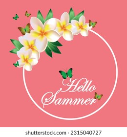 hello summer is the most beautiful time of the year
