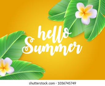 Hello Summer Natural Floral Background with Frame Vector Illustration EPS10