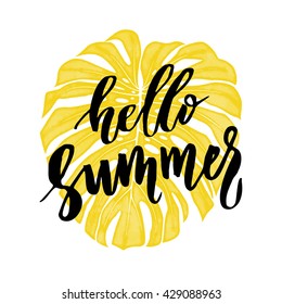 Hello summer on tropic monstera leaf background, tropical palm leaves background, summer background