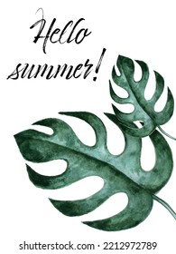 Hello summer with palm leaves monstera on white. Summer poster. Lettering summer season for greeting card, invitation template