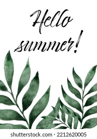 Hello summer with palm leaves on white. Summer poster. Lettering summer season for greeting card, invitation template