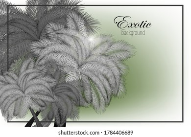 
Hello summer, palm trees vector, jungle, tropical forest on an abstract background. Dark white background