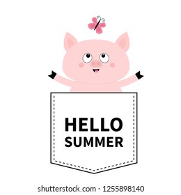 Hello summer. Pig face head in the pocket. Butterfly. Cute cartoon animals. Piggy piglet character. Dash line. White and black color. T-shirt design. Baby background. Flat design. Vector illustration