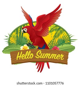 hello summer red macaw