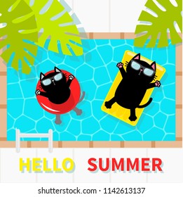 Hello Summer. Swimming pool. Black cat floating on pool float water mattress and circle. Top air view. Sunglasses. Lifebuoy. Palm tree leaf. Cute cartoon character. Flat design. Vector illustration