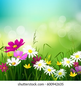 Hello, Summer template with wild flower meadow on abstract de-focused green background