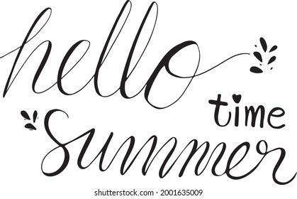 Hello summer time hand lettering vector illustration on white background. 