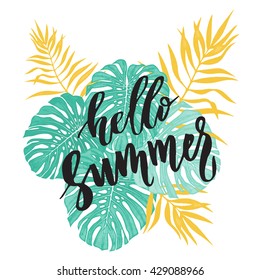 Hello summer tropic background of palm leaves, tropical palm leaves background, summer background. Summer background, summer plants