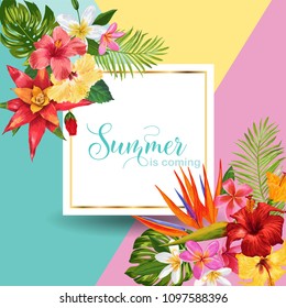 Hello Summer Tropic Design. Tropical Hibiscus Flowers Background for Poster, Sale Banner, Placard, Flyer. Floral Vintage Composition. Vector illustration
