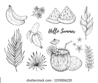 Hello Summer tropic fruit and flower stickers. Banana, coconut cocktail, watermelon, Frangipani, Heliconia palulu. Hand drawn vintage art. Cool doodle vector illustration, icon set on white background