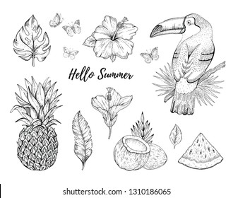Hello Summer tropic set. fruit, flower, food, animal, leaf stickers. Coco, watermelon, toucan bird, ananas, hibiscus. Hand drawn vintage art. Cool doodle vector illustration, icon on white background
