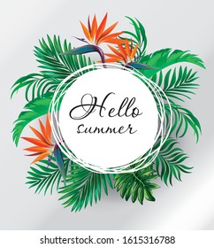 Hello Summer tropical banner. Exotic palm leaves on withe circle background. Vector summer illustration.