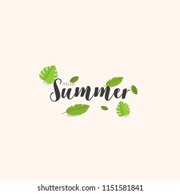 Hello summer with tropical leaves. Vector eps 10