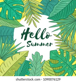 Hello Summer Tropical Plants Background