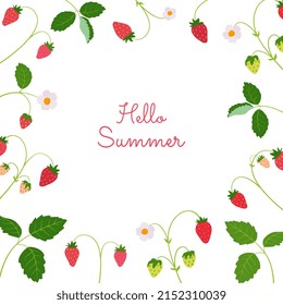 Hello summer. Vector summer background, postcard, banner with strawberries, berry leaves. Juicy summer berry.