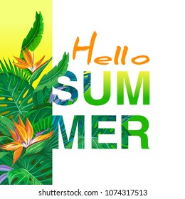 Hello Summer  vector banner design with Tropical palm leaves, plants.  Negative space trend.  Summer placard poster flyer invitation card. 