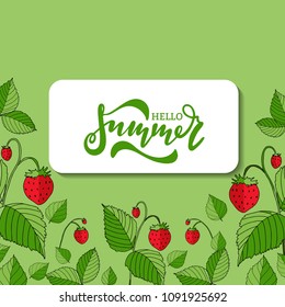 Hello summer vector banner design.