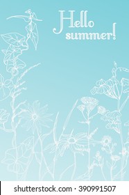 Hello summer. Vector Hand-draw template label/Background with hand-draw wild flowers and herbs. Layout, mockup design for cosmetics, store,beauty salon, spa, natural and organic products. 
