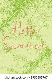Hello Summer vector, leaf texture background 