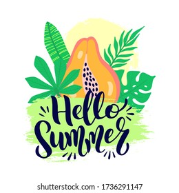 Hola cartel vectorial de verano con letras. Fondo gráfico de verano de bienvenida y caligrafía de texto. Ilustración vectorial fruta de papaya, hojas de palma sobre trazo de pincel grunge aisladas sobre fondo blanco.