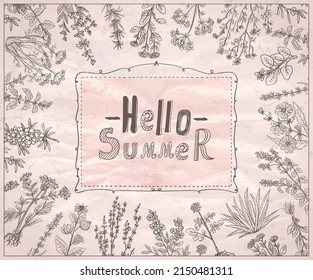 Hello summer vector quote card mockup with herbal hand drawn graphic frame
