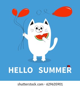 Hello summer. White cat holding red balloon, watermelon. Ladybug insect. Cute cartoon character. Flat design. Blue background. Vector illustration