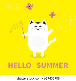 Hello summer. White cat Pink butterfly insect, net. Dash line track.. Cute cartoon character. Greeting card. Funny pet animal collection. Flat design. Yellow background. Vector illustration