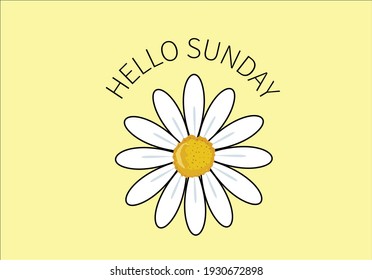hello sunday daisy vector art design