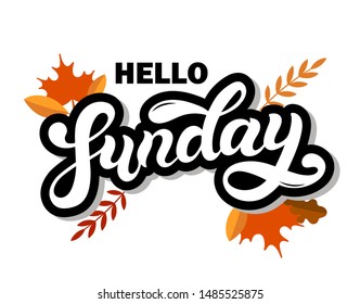 Hello Sunday. Day of the week. Hand drawn lettering. Vector illustration. Best for calendar design