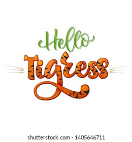 Hello Tigress phrase. Hand drawn calligraphy and script style baby shower lettering quote. Colorful isolated text with minimalistic decor. Print, invitation, card, poster