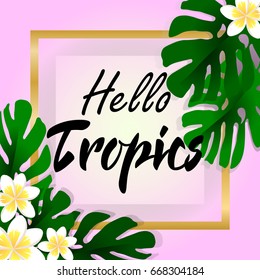 Hello Tropics
