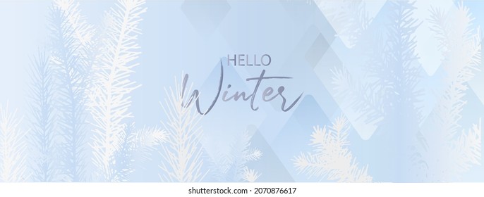 hello winter background with frozen pine trees