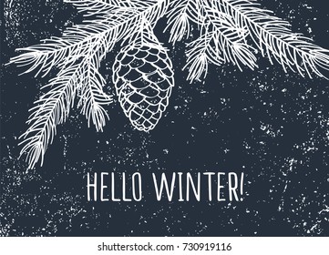 Hello winter. Background with pine branches and cone. Hand drawn with chalk on the blackboard. Elements for Christmas, New Year. Vector illustration.