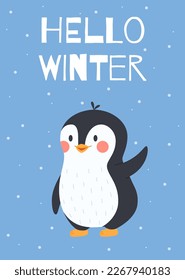 Hello winter card or poster layout with penguin fancy and cute cartoon character, flat vector illustration on blue background. Winter greeting card design.