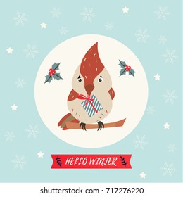 Hello winter  greeting card with cute robin bird