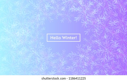 Hello Winter Layout with Snowflakes for Web, Landing Page, Banner, Poster, Website Template. Snow Christmas Seasonal Background for Mobile App, Social Media. Vector illustration