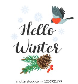 Hello winter. lettering with spruce branch and bird