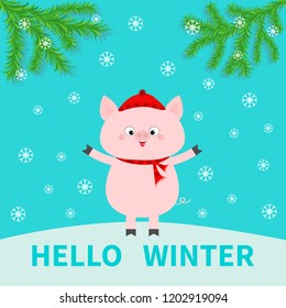 Hello winter. Pig on snowdrift. Falling snowflakes. Chinise symbol of 2019 new year. Fir tree. Branch spruce Cute cartoon funny character. Flat design. Blue background. Vector illustration