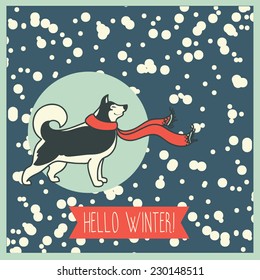 Hello Winter Poster with cute Husky in scarf, vector illustration