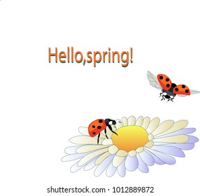 Hello,spring Spring blossom daisies and  ladybugs