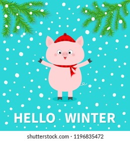 Hellow winter. Pink pig. Falling snow. Chinise symbol of 2019 new year. Fir tree. Branch spruce Cute cartoon funny character. Flat design. Blue background. Vector illustration
