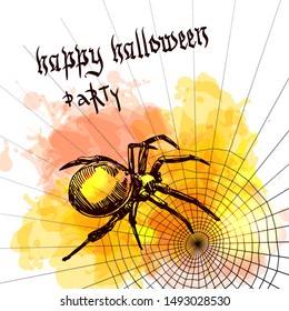 Helloween design concept with spider. Hand drawn style picture. Good for halloween party design.