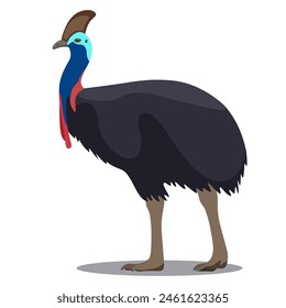 The helmet-bearing cassowary is a large bird on the verge of extinction 