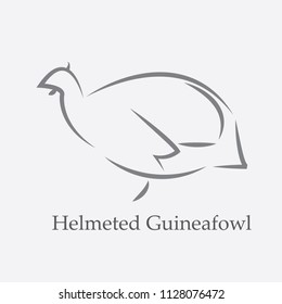 Helmeted Guineafowl icon - vector illustrator