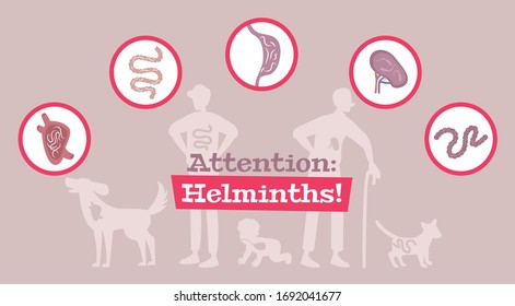 Helminth parasitic intestinal worms kids adults animals infection symptoms cause prevention medical  flat info banner vector illustration 