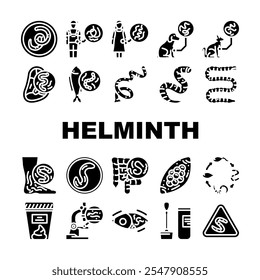 helminth worm parasite nematode icons set vector. tapeworm roundworm, flatworm hookworm, whipworm fluke, cestode, trematode helminth worm parasite nematode glyph pictogram Illustrations