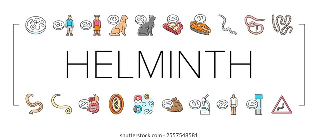 helminth worm parasite roundworm icons set vector. dog tapeworm, heart helminth ascaris, internal cat, nematode pet, pinworm giardia helminth worm parasite roundworm color line illustrations